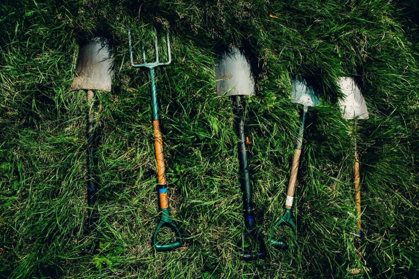Outils de taille pour élaguer efficacement : sécateur et scie d'élagage